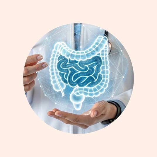 Digestion